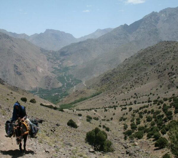 2 days Berber village trek