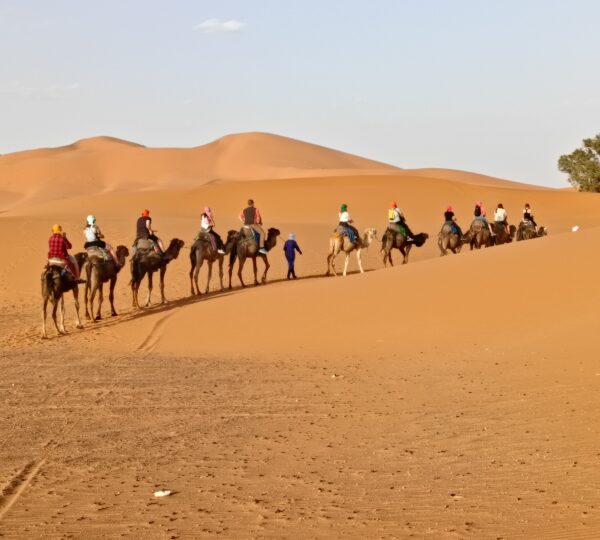 Golden Sahara sand dunes at sunset near Merzouga, Morocco