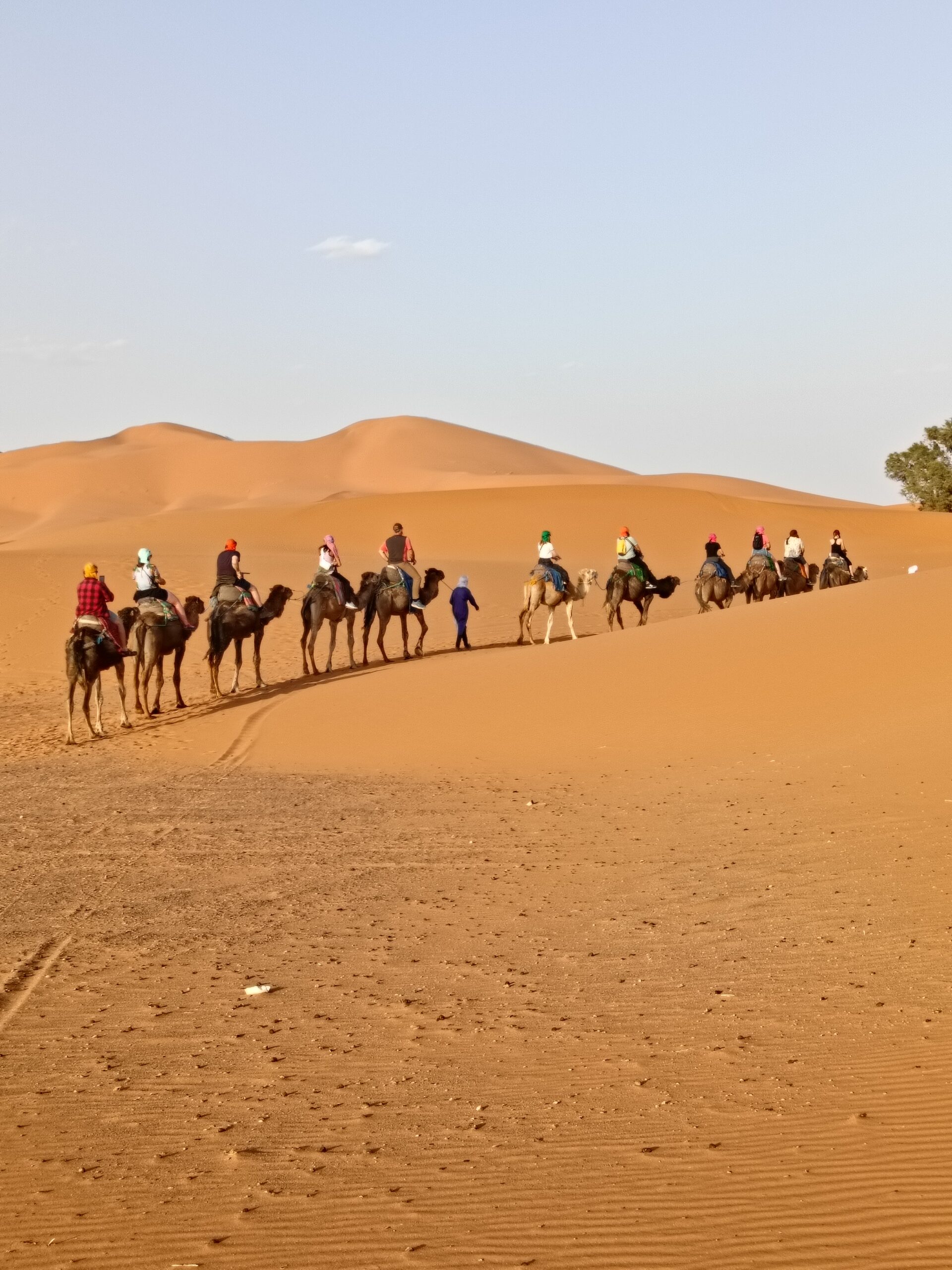Golden Sahara sand dunes at sunset near Merzouga, Morocco