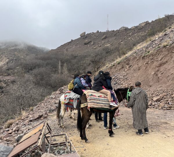 Best things to do in Marrakech and Atlas Mountains Atlas Mountains day trip from Marrakech Mount Toubkal trek with local guide