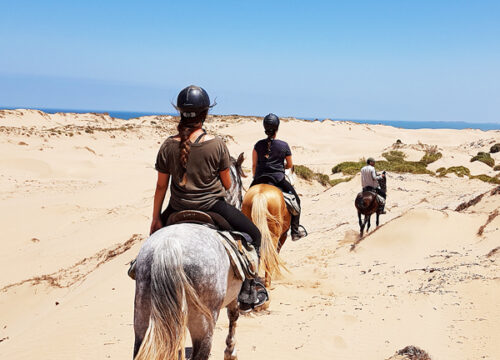 Home 23 Horse Riding
